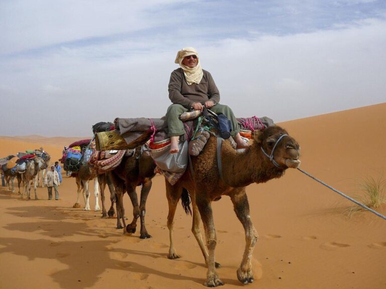 randonnee en chameau au desert du Maroc