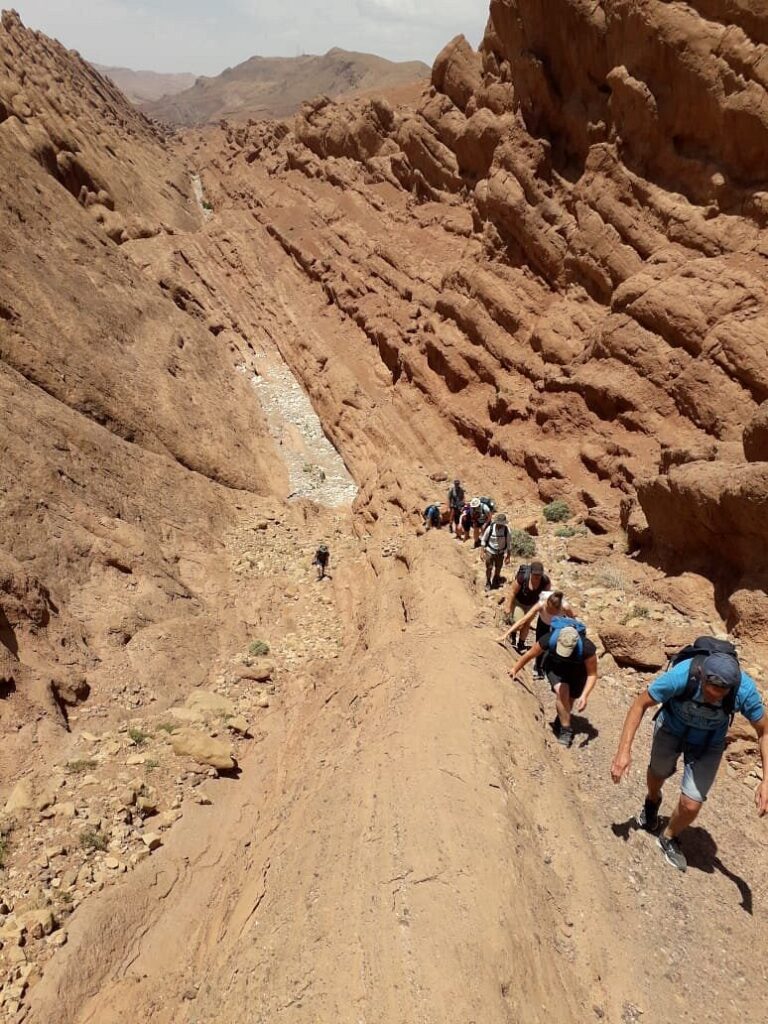 EXCURSION DOIGTS DES SINGES VALLEE DADES MAROC